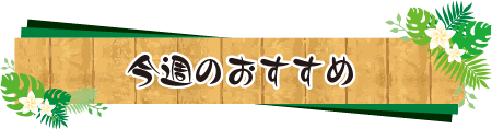 今週のおすすめ